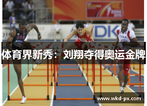 体育界新秀：刘翔夺得奥运金牌